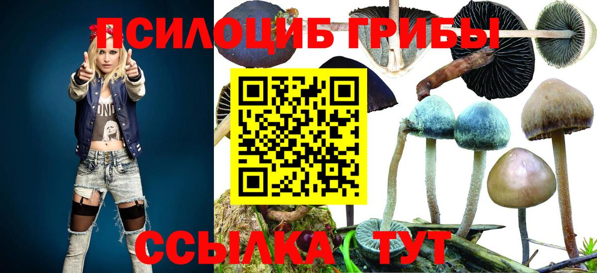 Псилоцибиновые грибы ЛСД Благодарный
