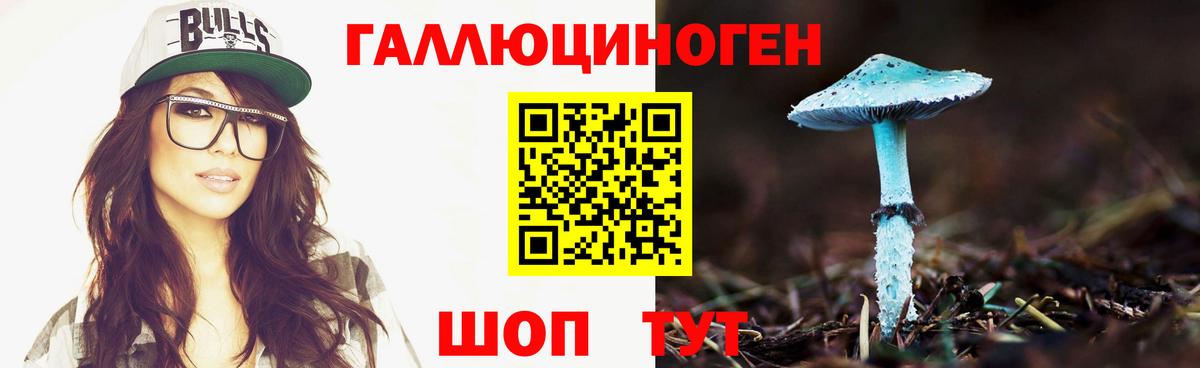 Благодарный  Псилоцибиновые грибы Psilocybine cubensis  Вход с VPN 